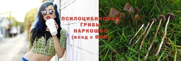 меф Абаза